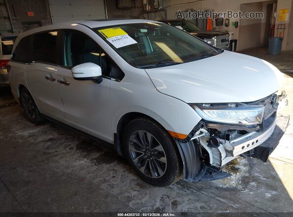 5FNRL6H65RB054449 2024 HONDA ODYSSEY White Przód prawy