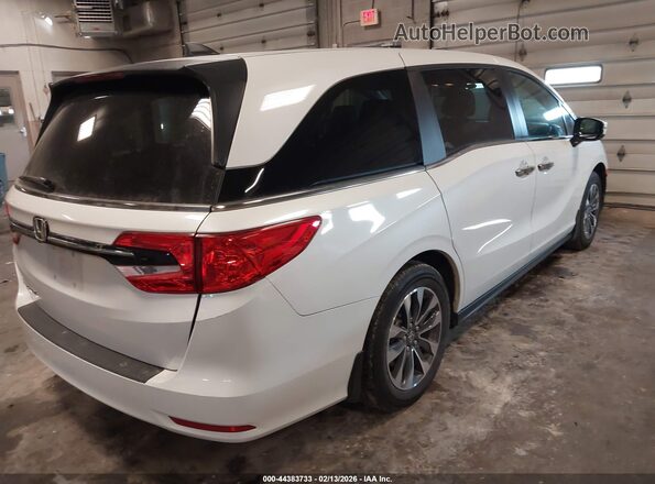 5FNRL6H65RB054449 2024 HONDA ODYSSEY White Tył prawy
