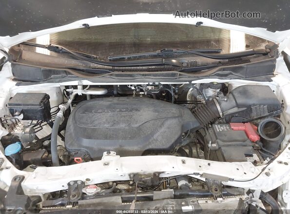 5FNRL6H65RB054449 2024 HONDA ODYSSEY White Widok z tyłu