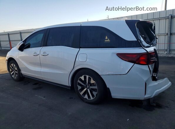 5FNRL6H65TB007249 2026 HONDA ODYSSEY White Trasero izquierdo