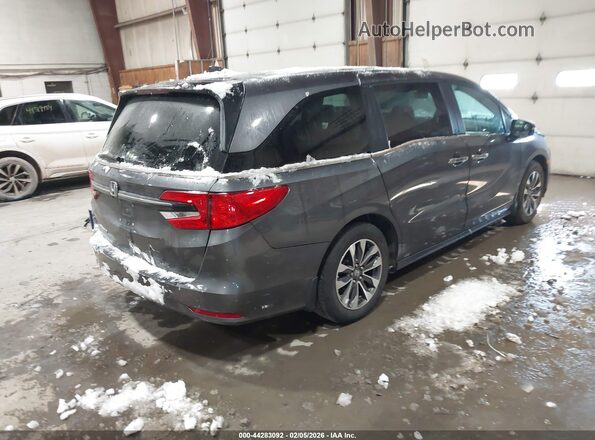 5FNRL6H69PB043337 2023 HONDA ODYSSEY Gray Rear right