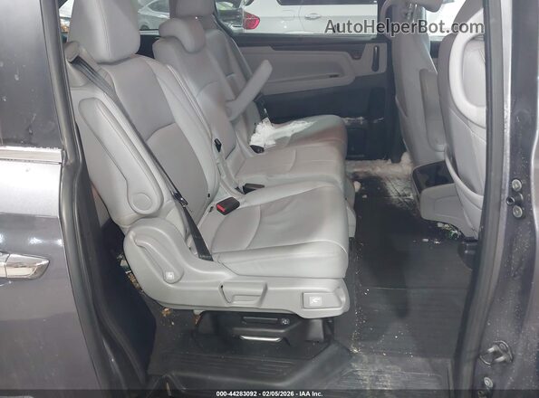 5FNRL6H69PB043337 2023 HONDA ODYSSEY Gray VIN sticker view