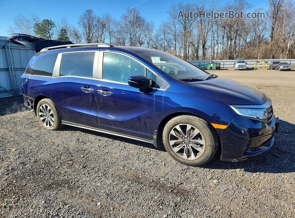 5FNRL6H6XRB004369 2024 HONDA ODYSSEY Синий Передняя правая четверть