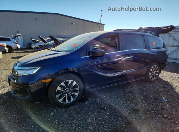 5FNRL6H6XRB004369 2024 HONDA ODYSSEY Синий Передняя левая четверть