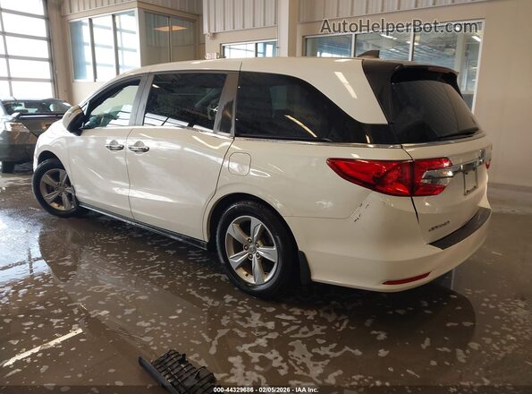 5FNRL6H72KB049188 2019 HONDA ODYSSEY Белый Задняя левая четверть