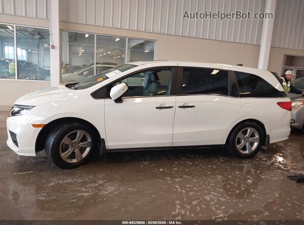 5FNRL6H72KB049188 2019 HONDA ODYSSEY Белый Панорамный вид салона 360°