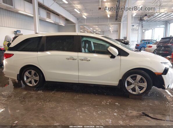 5FNRL6H72KB049188 2019 HONDA ODYSSEY Белый Вид задней части салона