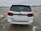 2024 Honda Odyssey Sport White vin: 5FNRL6H74RB069002