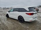 2024 Honda Odyssey Sport White vin: 5FNRL6H74RB069002
