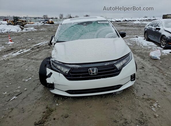 5FNRL6H74RB069002 2024 HONDA ODYSSEY White Widok z przodu