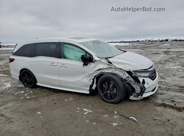 5FNRL6H74RB069002 2024 HONDA ODYSSEY White Przód prawy