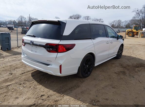 5FNRL6H75SB075509 2025 HONDA ODYSSEY Белый Задняя правая четверть