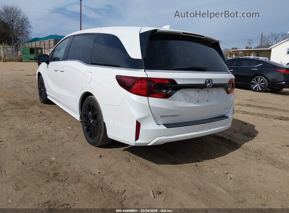 5FNRL6H75SB075509 2025 HONDA ODYSSEY Белый Задняя левая четверть