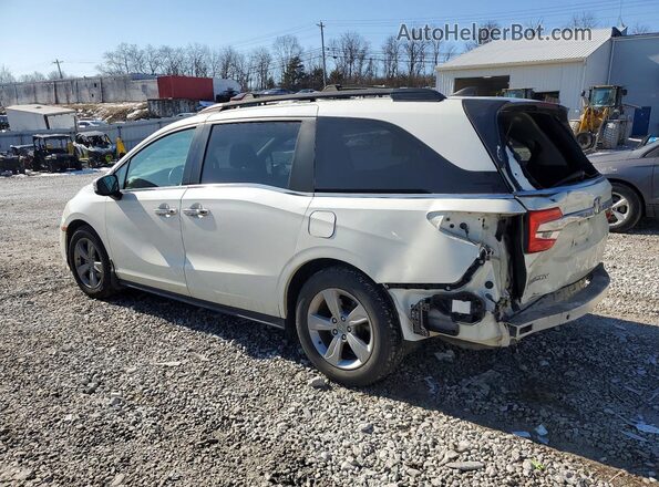 5FNRL6H77KB122037 2019 HONDA ODYSSEY White უკანა მარცხენა