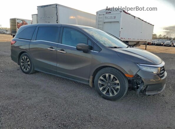 5FNRL6H7XNB016511 2022 HONDA ODYSSEY Серый Передняя правая четверть