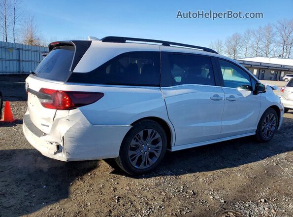 5FNRL6H81SB012660 2025 HONDA ODYSSEY White Tył prawy