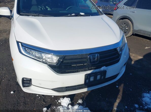 5FNRL6H8XRB064900 2024 HONDA ODYSSEY Белый Вид спереди