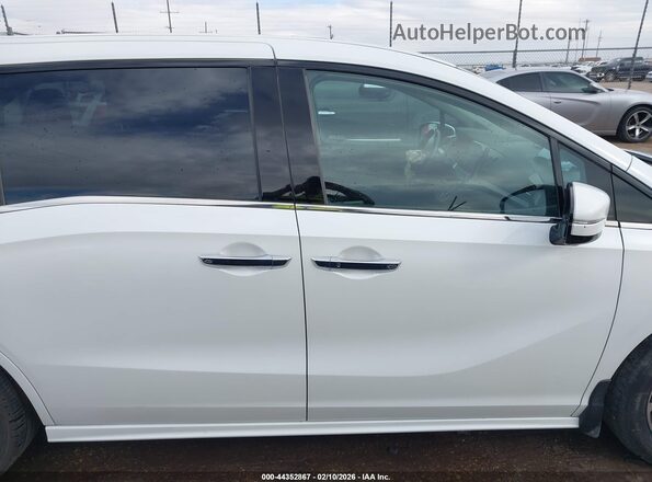 5FNRL6H96LB069981 2020 HONDA ODYSSEY Белый Вид задней части салона