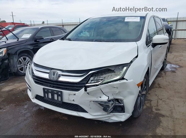 5FNRL6H96LB069981 2020 HONDA ODYSSEY Белый Вид спереди