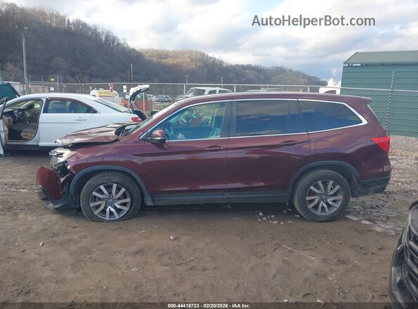 5FNYF5H34KB015683 2019 HONDA PILOT Темно-бордовый Вид задней части салона
