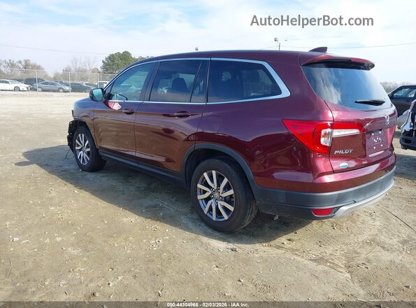 5FNYF5H5XMB039670 2021 HONDA PILOT Красный Задняя левая четверть