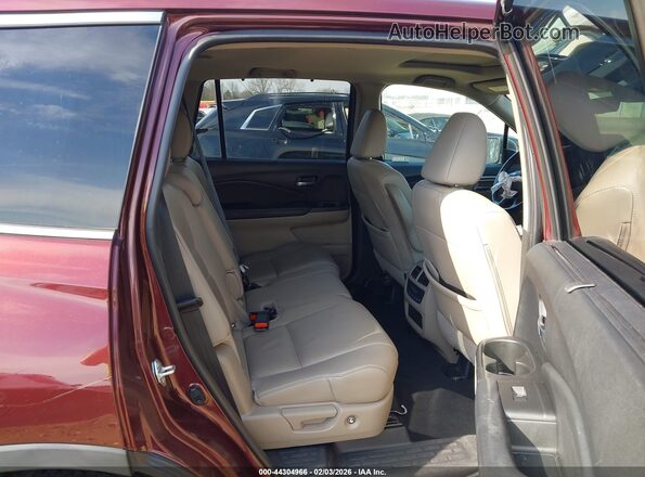 5FNYF5H5XMB039670 2021 HONDA PILOT Красный Вид наклейки с VIN-кодом