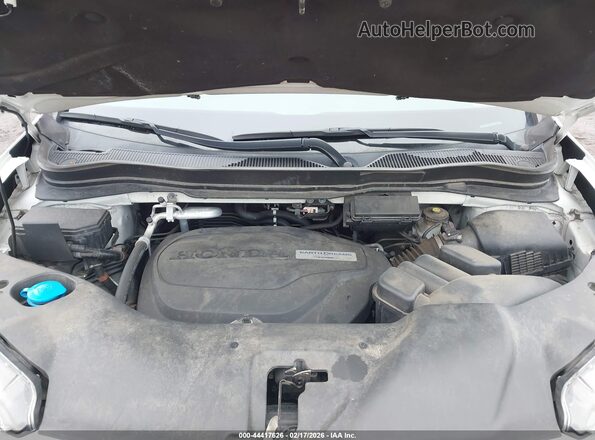 5FNYF6H34KB017598 2019 HONDA PILOT Белый Вид сзади