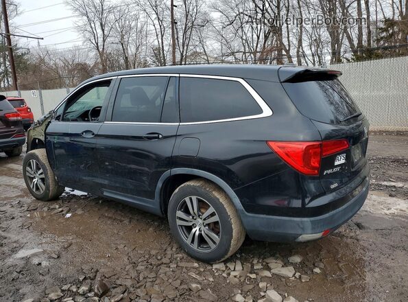 5FNYF6H58HB018991 2017 HONDA PILOT Черный Задняя левая четверть