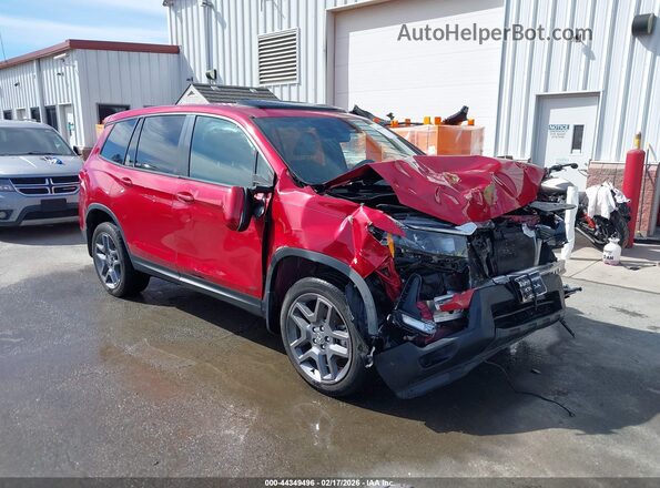 5FNYF8H56PB020040 2023 HONDA PASSPORT Красный Передняя правая четверть