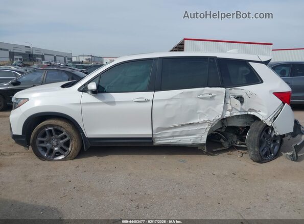 5FNYF8H58PB035557 2023 HONDA PASSPORT White 