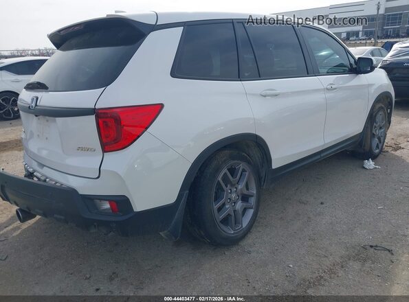 5FNYF8H58PB035557 2023 HONDA PASSPORT White Հետևի աջ