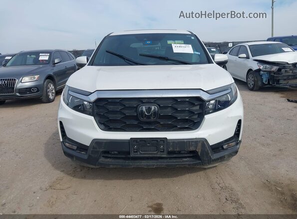 5FNYF8H58PB035557 2023 HONDA PASSPORT White Սալոնի հետևի տեսք