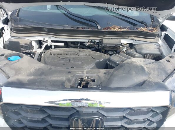 5FNYF8H58PB035557 2023 HONDA PASSPORT White Հետևի տեսք