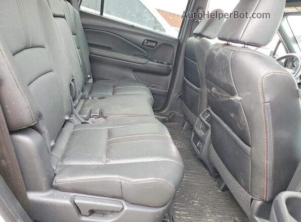 5FNYF8H64PB044281 2023 HONDA PASSPORT Белый Вид задней части салона