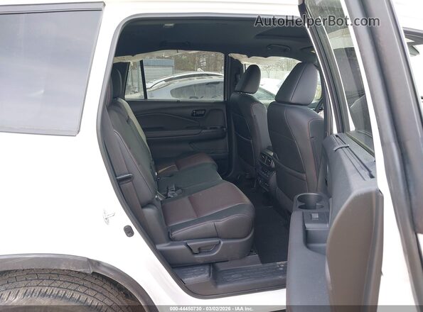 5FNYF8H89RB000376 2024 HONDA PASSPORT Белый Вид наклейки с VIN-кодом