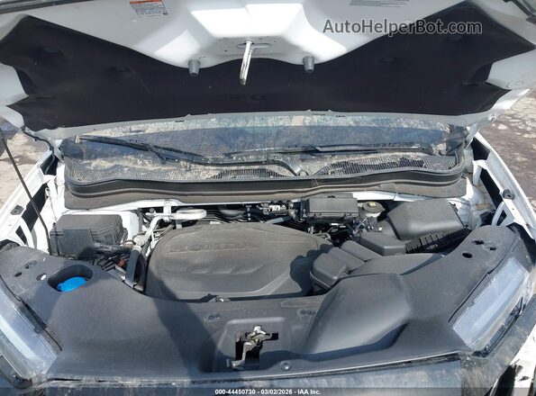 5FNYF8H89RB000376 2024 HONDA PASSPORT Белый Вид сзади