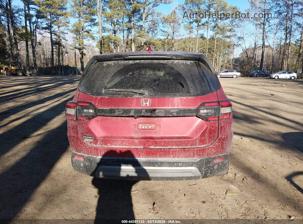 5FNYG1H55PB003458 2023 HONDA PILOT Красный 