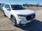 2024 Honda Pilot Ex-l 7 Passenger White vin: 5FNYG2H58RB008517