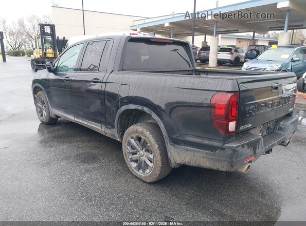5FPYK3F12RB019542 2024 HONDA RIDGELINE Black Tył lewy