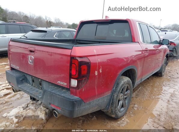 5FPYK3F52NB038668 2022 HONDA RIDGELINE Красный Задняя правая четверть
