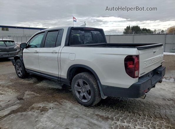 5FPYK3F60RB500336 2024 HONDA RIDGELINE White Tył lewy
