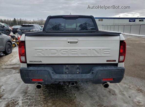5FPYK3F60RB500336 2024 HONDA RIDGELINE White Widok z tyłu