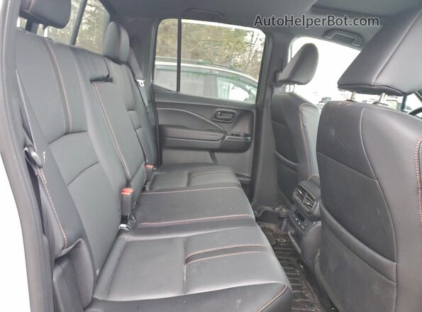5FPYK3F60RB500336 2024 HONDA RIDGELINE White Widok tylnych siedzeń