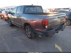 2024 Honda Ridgeline Trailsport Gray vin: 5FPYK3F65RB021653