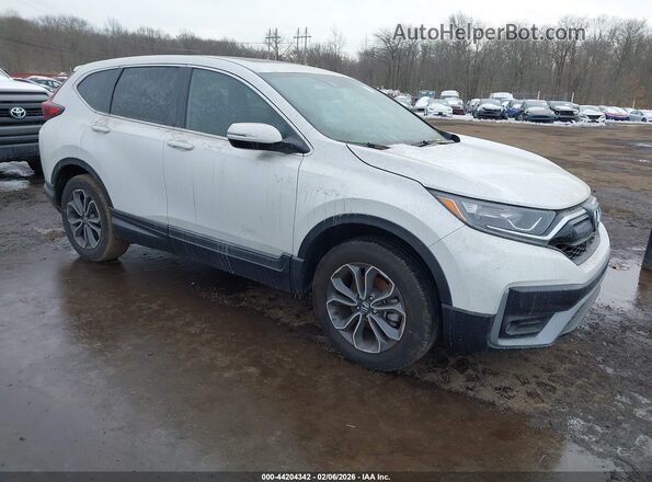 NJ4018E 2022 HONDA CR-V White Delantero derecho