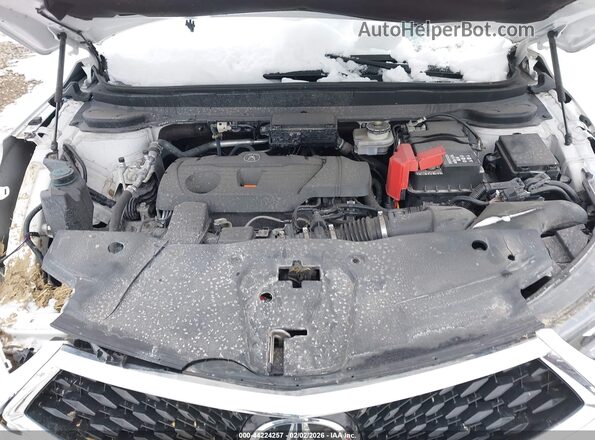 5J8TC2H54RL005408 2024 ACURA RDX White Vista trasera