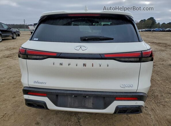 5N1AL1ER6SC348827 2025 INFINITI QX60 Белый Вид сзади