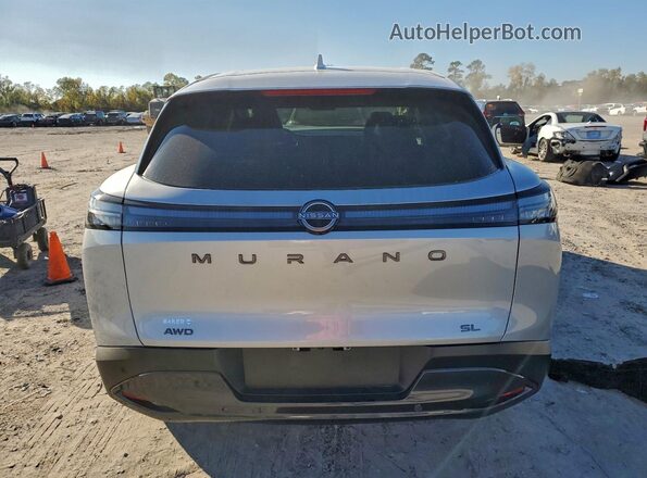5N1AZ3CS8SC143185 2025 NISSAN MURANO Серебряный Вид сзади