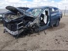 2019 Infiniti Qx60 Pure Light Blue vin: 5N1DL0MM4KC557934