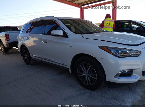 5N1DL0MN4KC562754 2019 INFINITI QX60 Белый Вид задней части салона